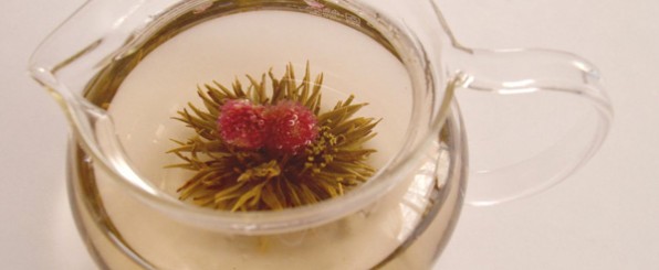 ハーブで美しくなろう!美容に効く4つのハーブ