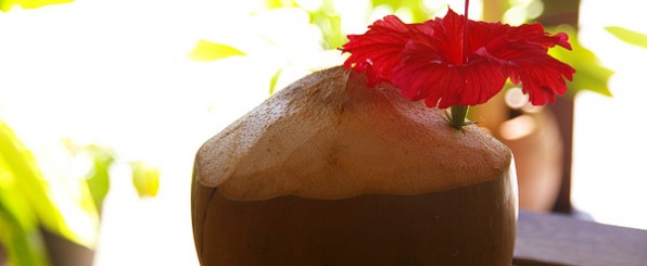 “奇跡の植物”ココナッツの効果とは?!